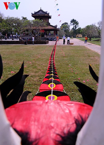 Kites soar over Hue skies - ảnh 10